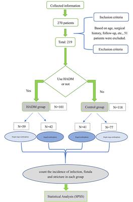 Application of Allogeneic Human Acellular Dermal Matrix Reduces the Incidence of Fistula in Hypospadias Repair